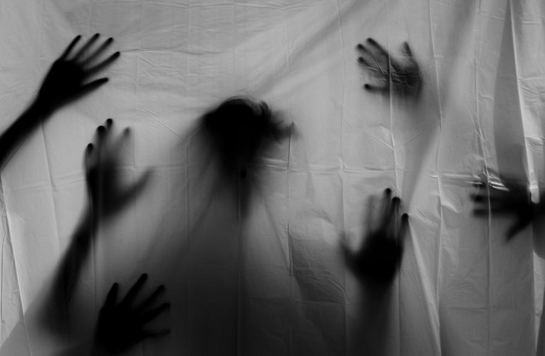 Un año excepcional para el cine de terror